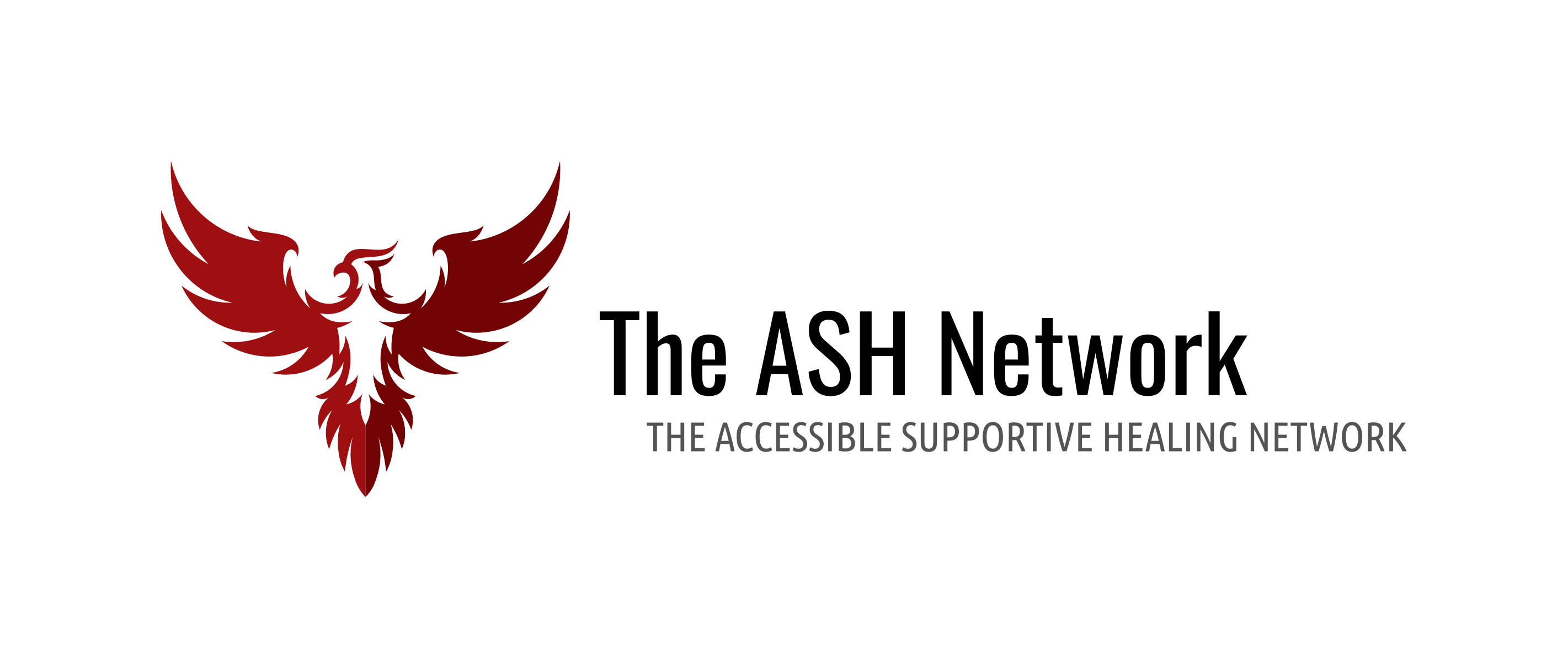 The Accessible Supportive Healing Network